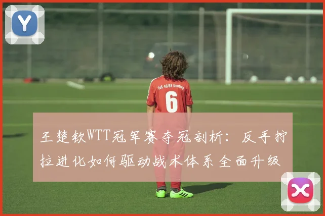 王楚钦WTT冠军赛夺冠剖析：反手拧拉进化如何驱动战术体系全面升级