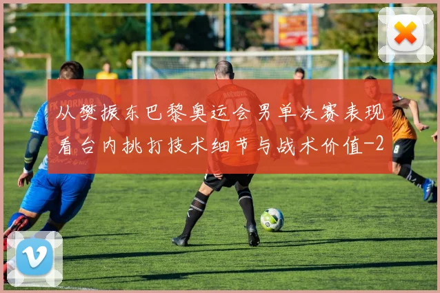 从樊振东巴黎奥运会男单决赛表现看台内挑打技术细节与战术价值