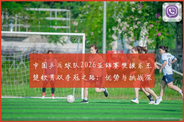 中国乒乓球队2026亚锦赛樊振东王楚钦男双夺冠之路:优势与挑战深度剖析